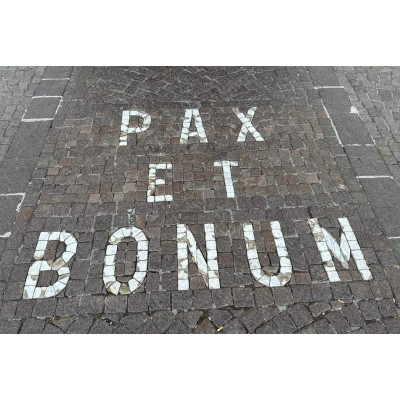 peregrinaciones 2019